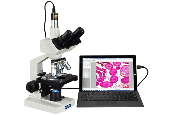 microscopio.png
